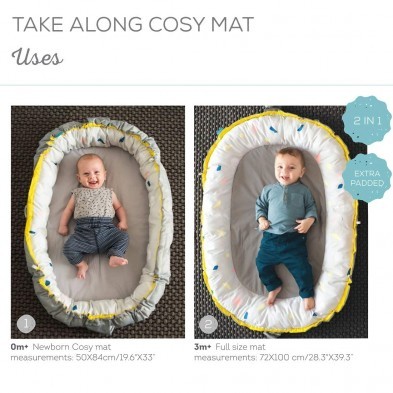 Taf Toys 2 in 1 Take Along Cosy Mat
